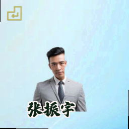 张振宇